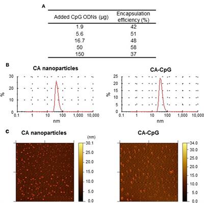 Carbonate Apatite Nanoparticles Act as Potent Vaccine Adjuvant Delivery Vehicles by Enhancing Cytokine Production Induced by Encapsulated Cytosine-Phosphate-Guanine Oligodeoxynucleotides